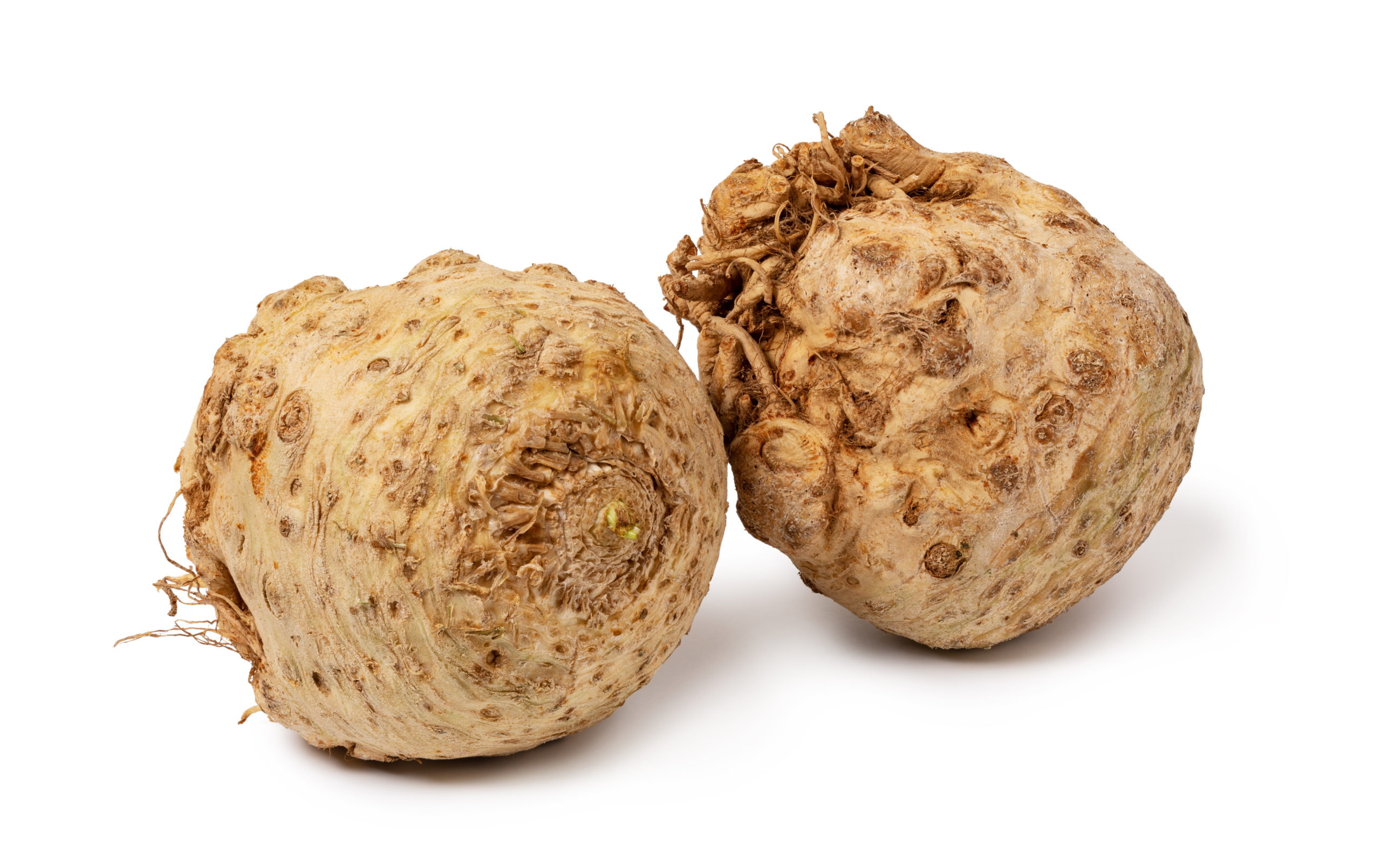 How to Prep Celery Root Basics